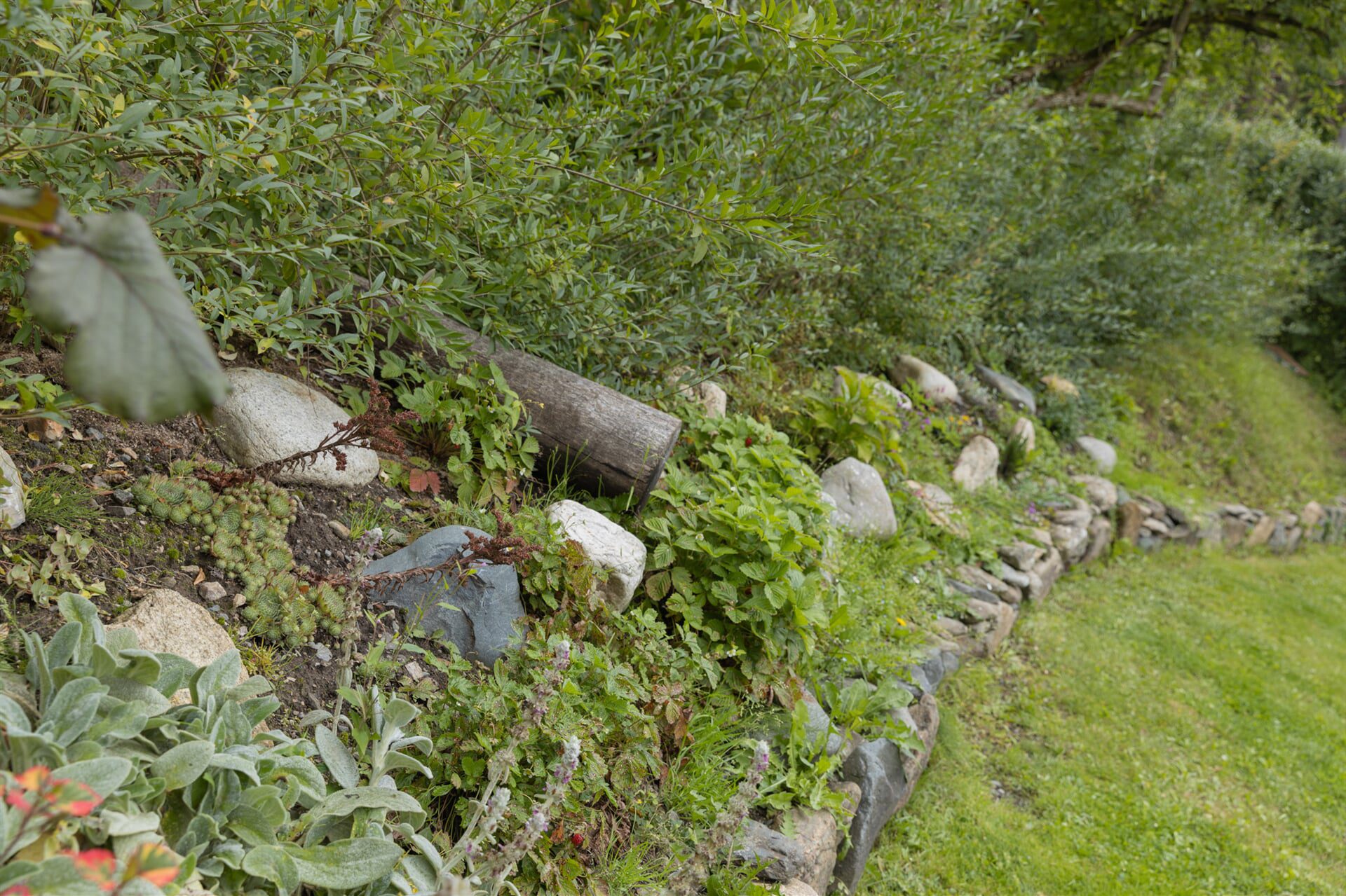 Chalupa Sedmidvory Chalupa Sedmidvory